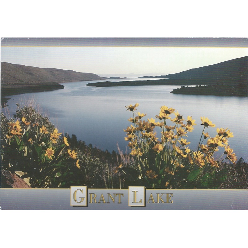 June Lake Grant Lake Postcard-QTY=50