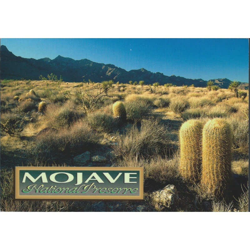 Mojave National Preserve Postcard-QTY=50