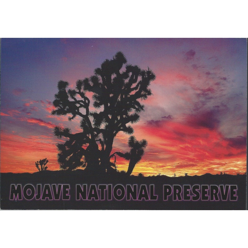Mojave Sunset Postcard-QTY=50