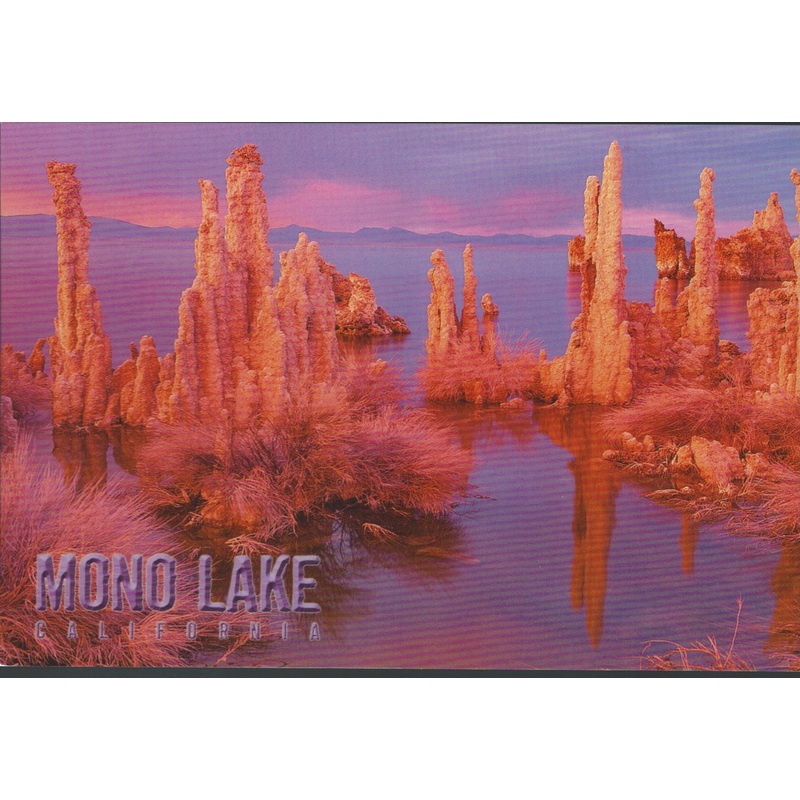 Mono Lake Orange Postcard-QTY=50