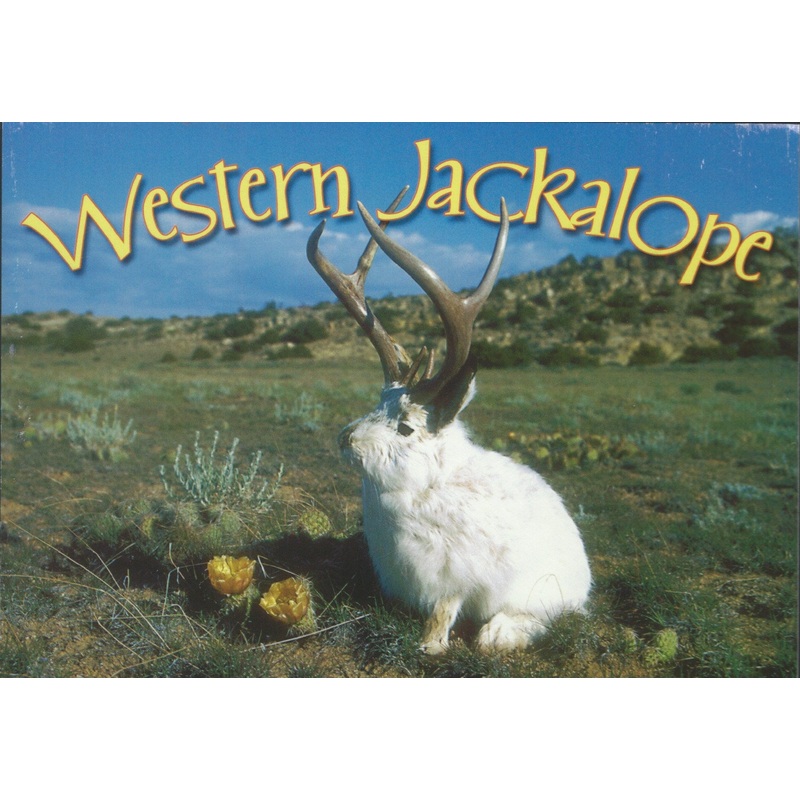 Western Jackalope Postcard-QTY=50