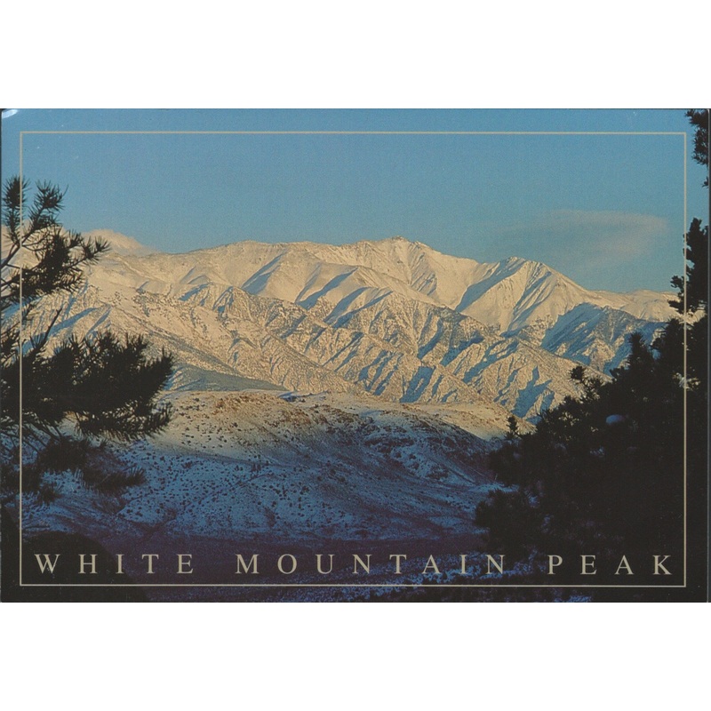 White Mountain Peak Bishop Postcard-QTY=50