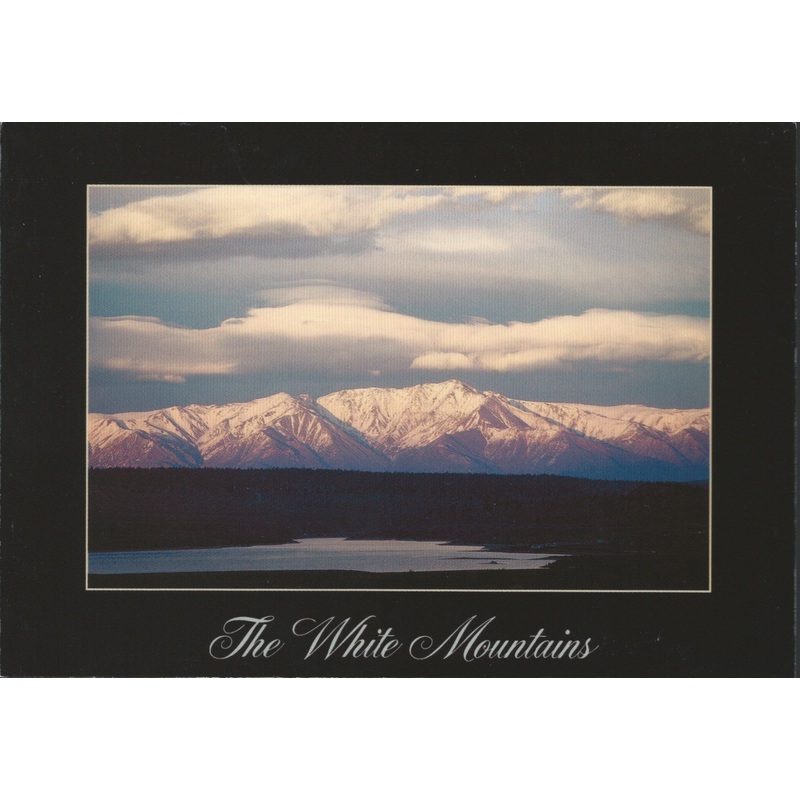White Mountains Bishop Postcard-QTY=50