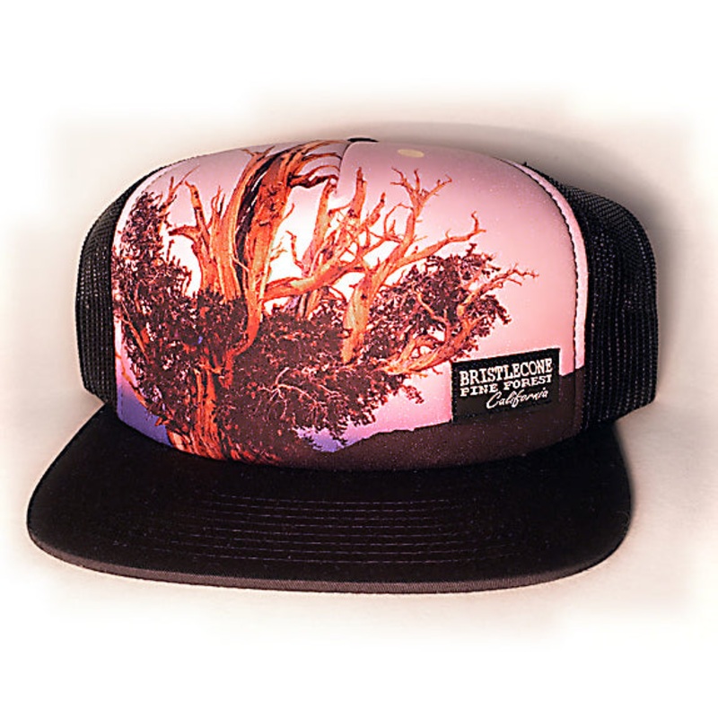 Bristlecone Photo Hat