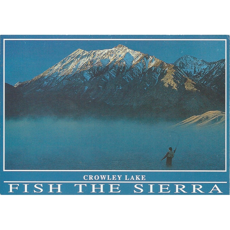 Fish The Sierra Mammoth Lakes Alternative Postcard-QTY=50