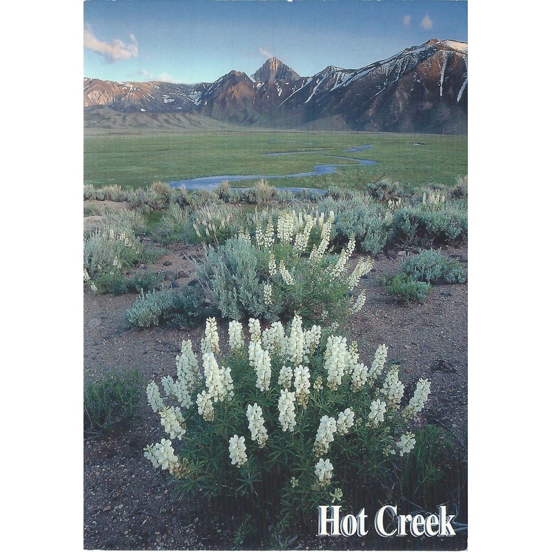 Hot Creek Postcard-QTY=50