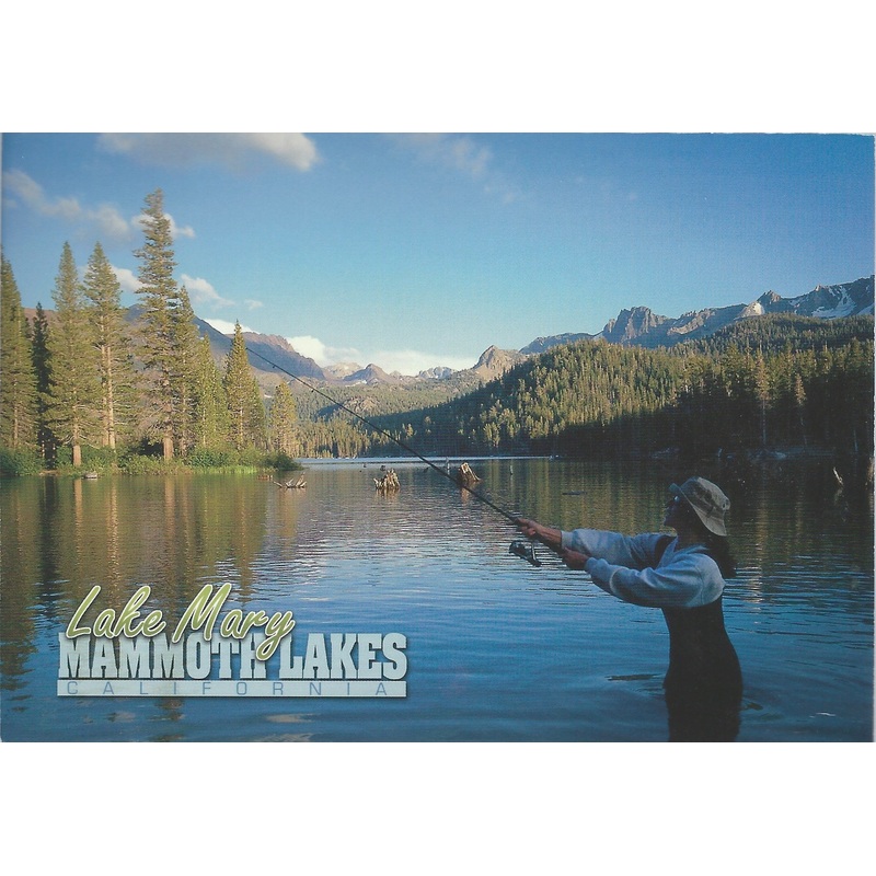 Lake Mary Fishing Postcard-QTY=50