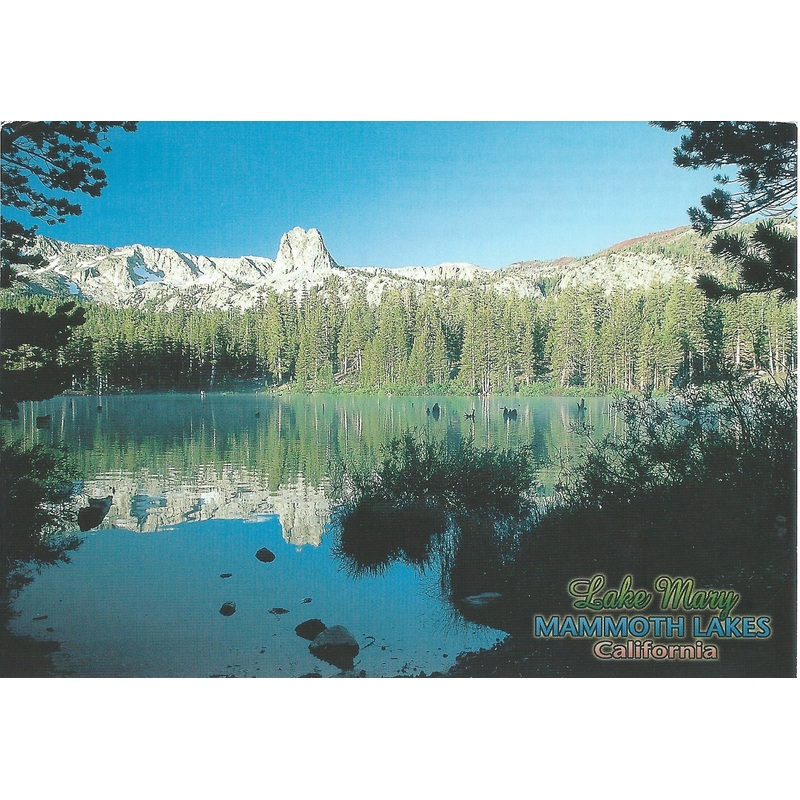 Lake Mary Postcard-QTY=50