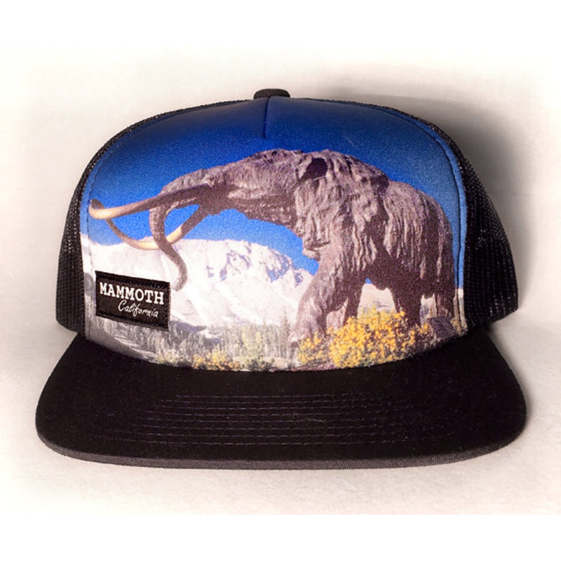 Mammoth California Statue Photo Hat