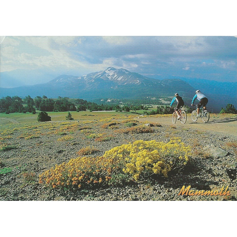 Mammoth Lakes Bikers Postcard-QTY=50