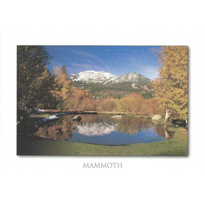Mammoth Lakes Pond Postcard-QTY=50