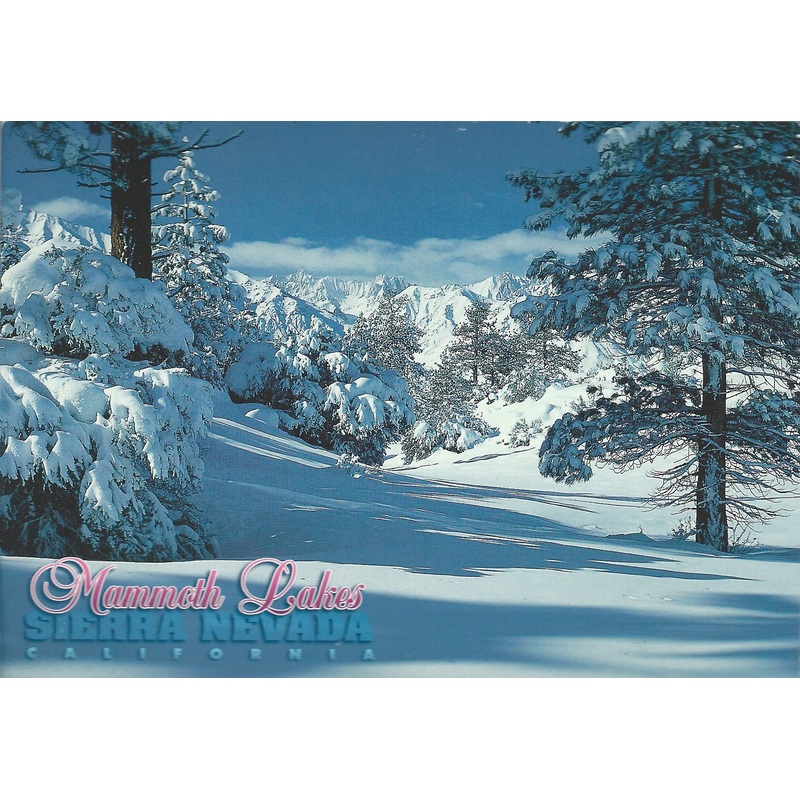 Mammoth Lakes Winter Snow Postcard-QTY=50