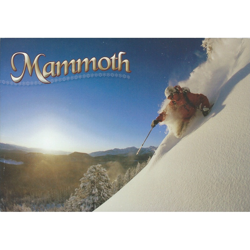 Mammoth Mountain Powder Postcard-QTY=50