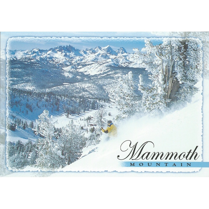 Mammoth Mountain Skiier Postcard-QTY=50