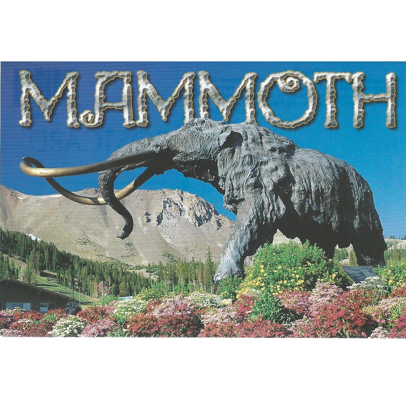 Mammoth Statue Postcard-QTY=50
