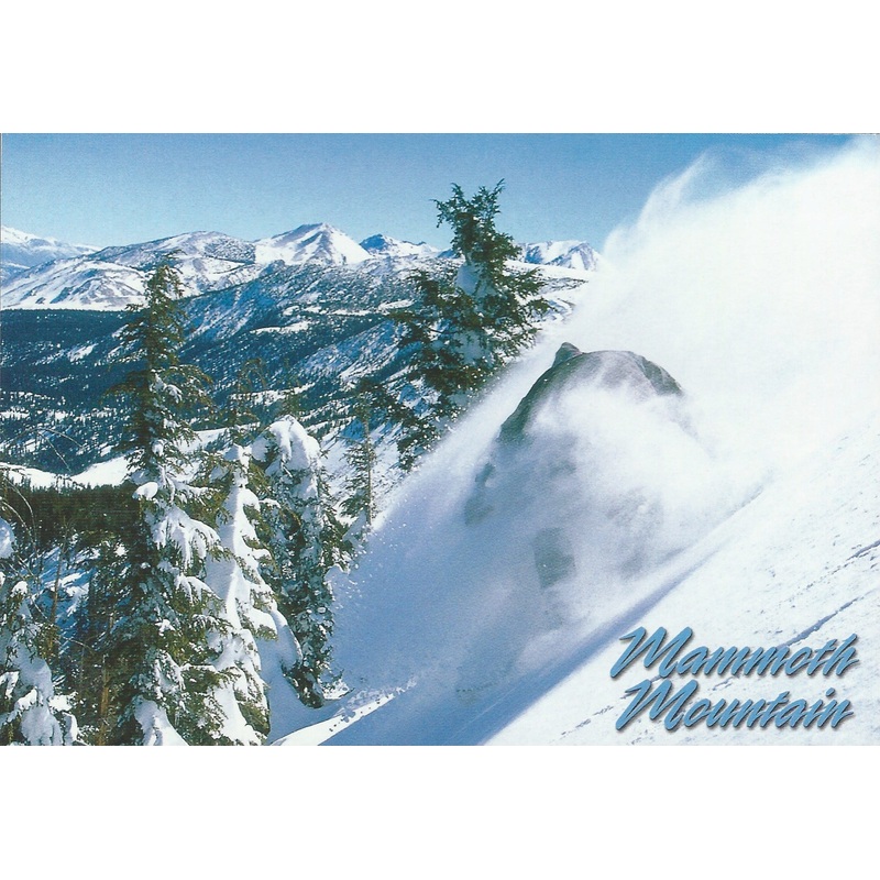 Mammoth Winter Snowboarder -QTY=50