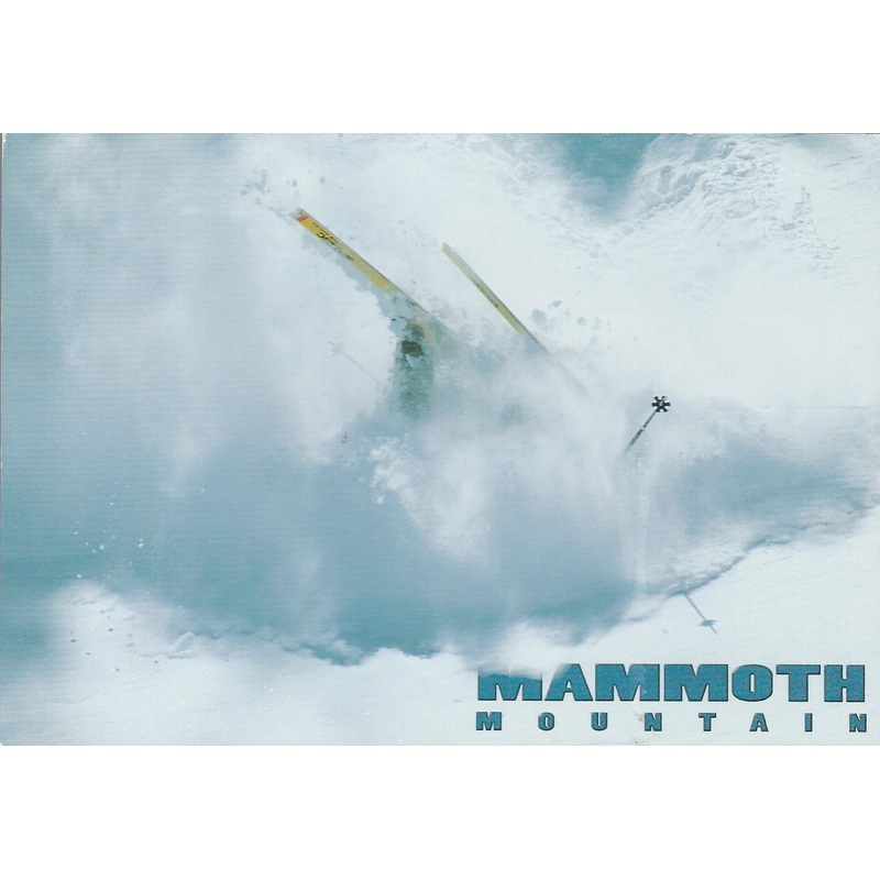 Mammoth Wipeout Postcard-QTY=50