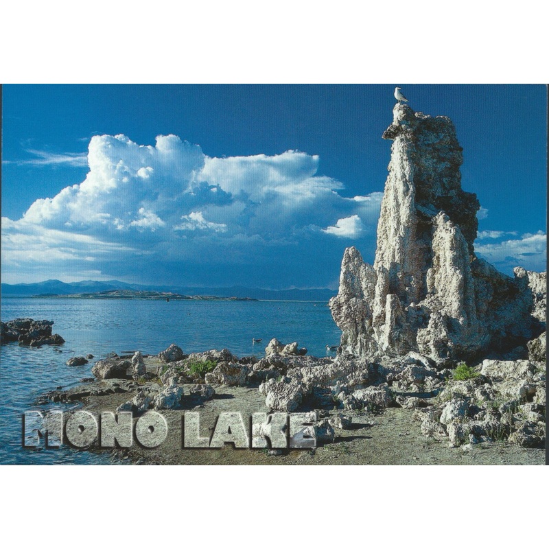 Mono Lake Afternoon Postcard-QTY=50