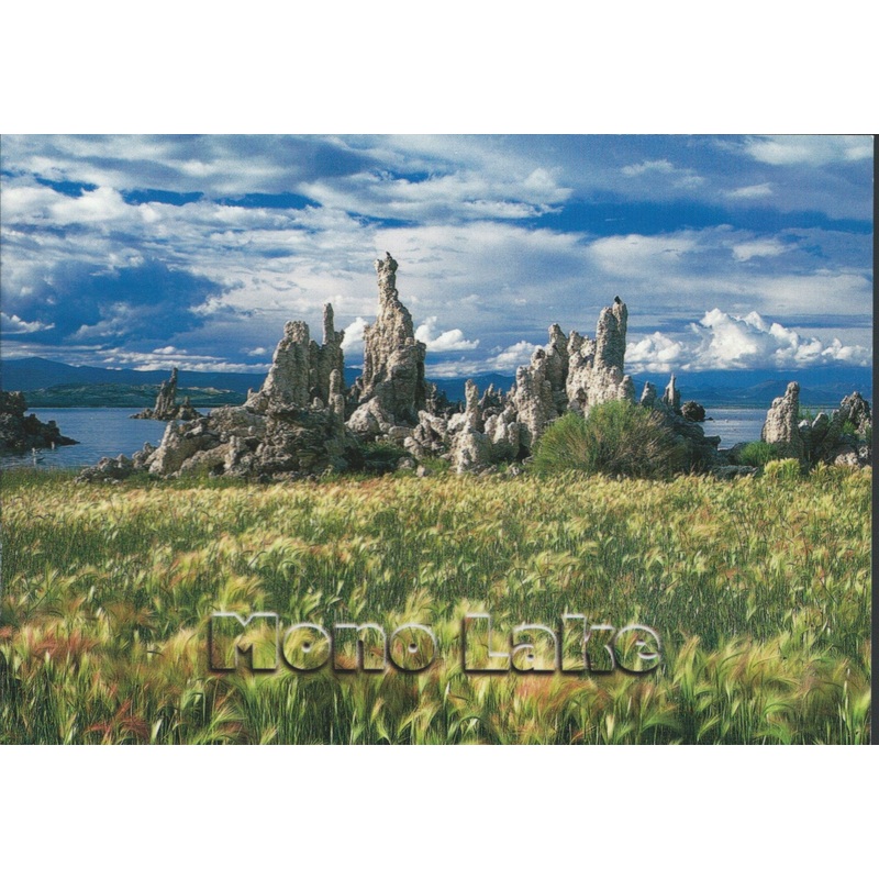 Mono Lake Greenery Postcard-QTY=50