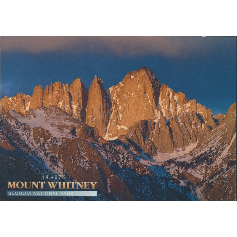 Mt. Whitney Sequoia National Park Postcard-QTY=50