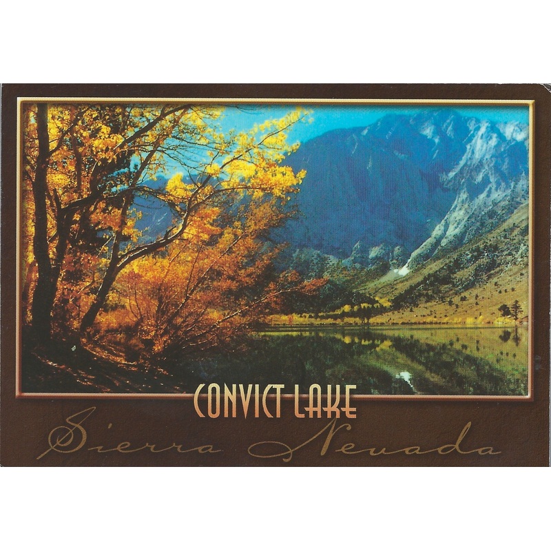 Orange Leaves Convict Lake Postcard-QTY=50