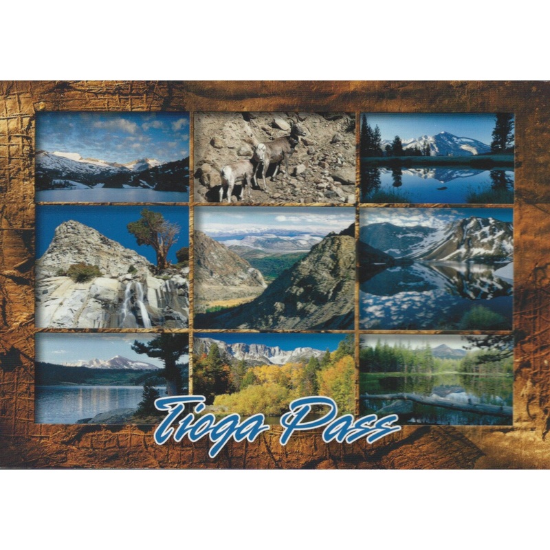 Tioga Pass Collage Postcard-QTY=50