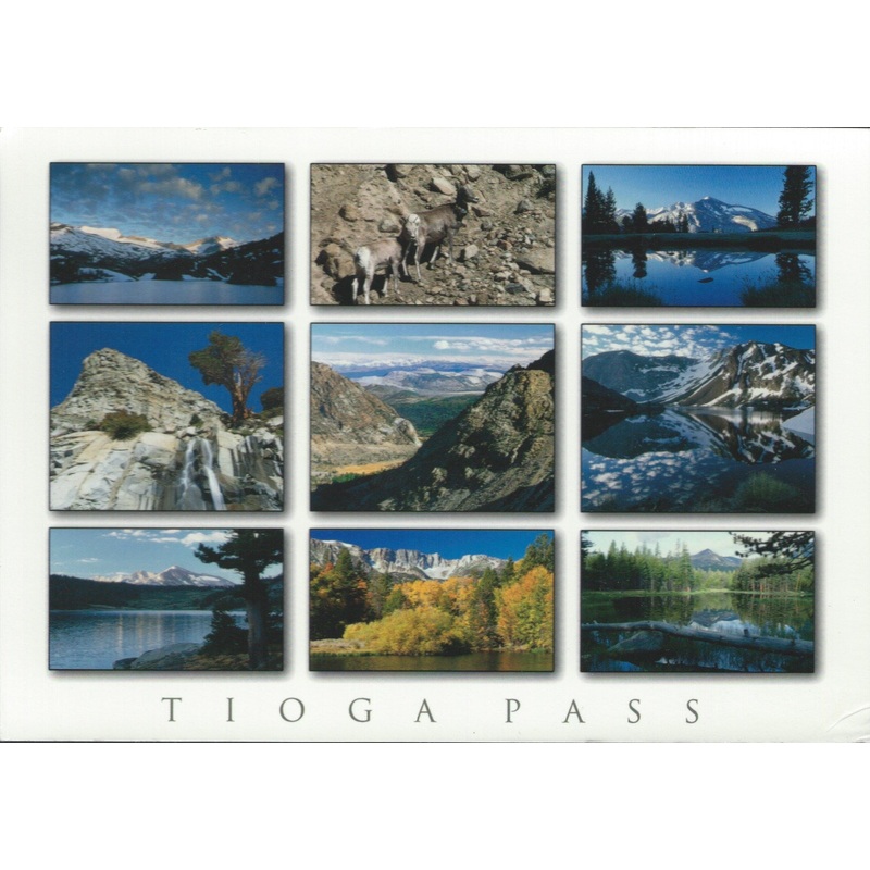 Tioga Pass Frames Postcard-QTY=50