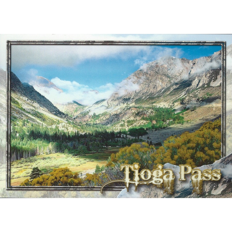 Tioga Pass Postcard-QTY=50
