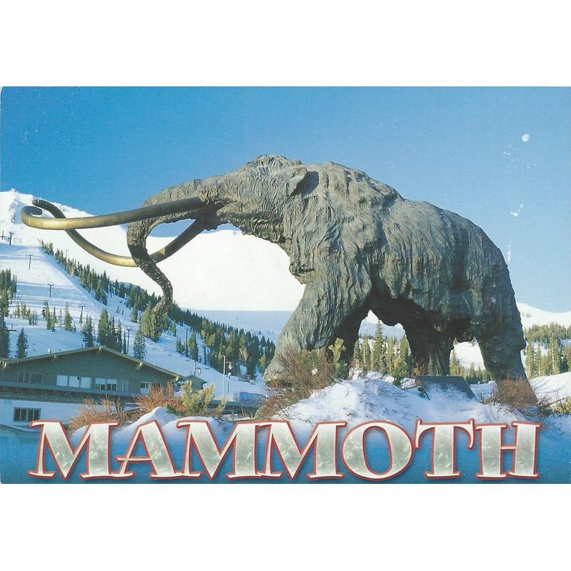 Woolly Mammoth Winter Statue Postcard-QTY=50
