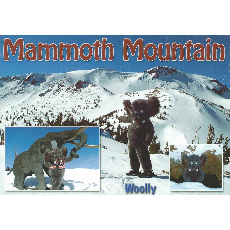 Woolly Postcard-QTY=50