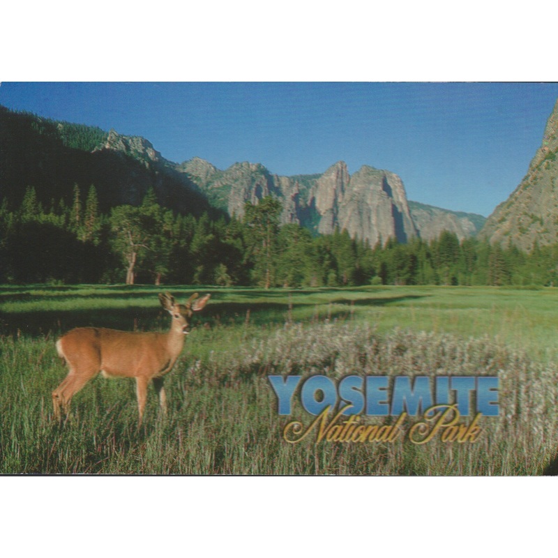 Yosemite Deer Postcard-QTY=50