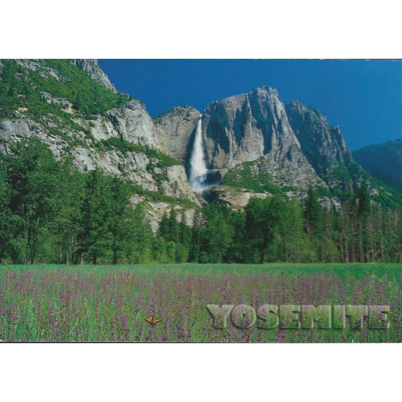 Yosemite Fields Postcard-QTY=50