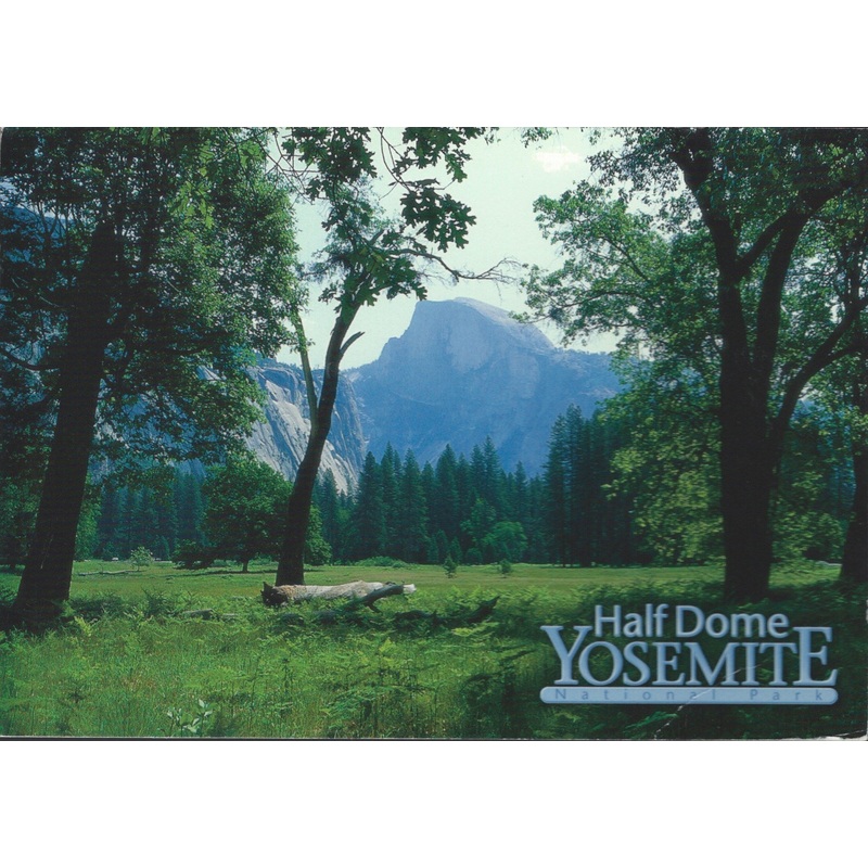 Yosemite Half Dome Distance Postcard-QTY=50