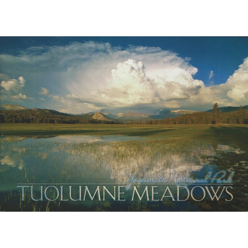 Yosemite Meadows Postcard-QTY=50