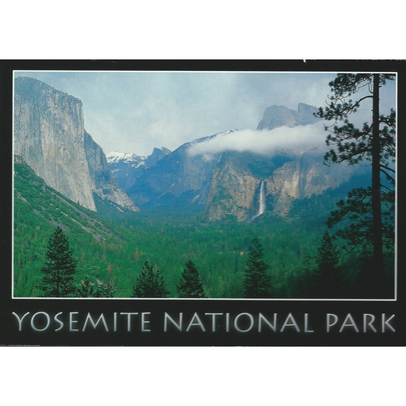 Yosemite National Park Black Postcard-QTY=50
