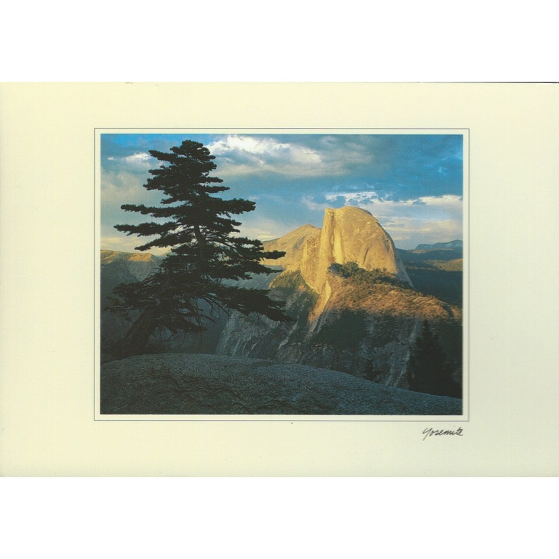 Yosemite Signature Postcard-QTY=50