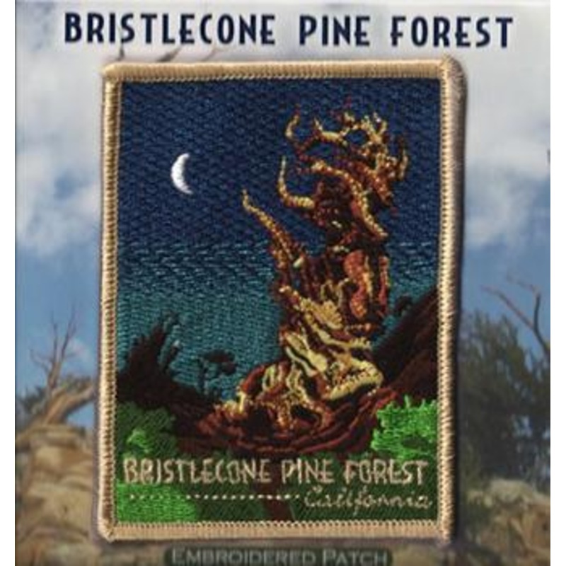 Bristlecone Patch