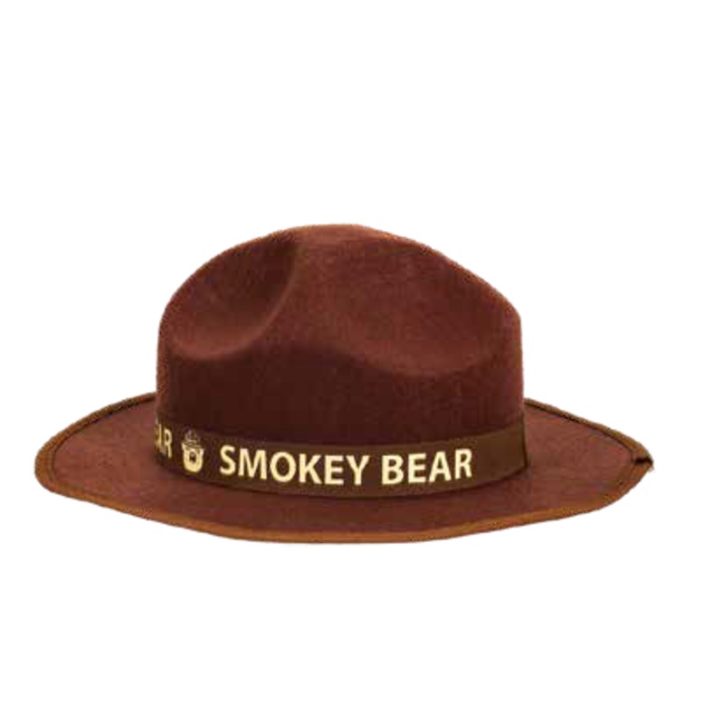 Smokey Ranger Hat
