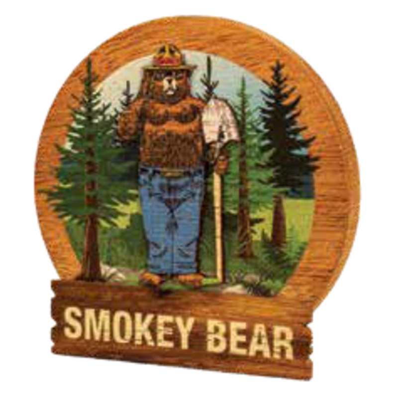 Smokey Wooden Round Magnet