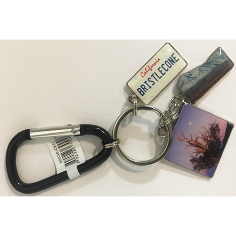 Bristlecone Charm Keychain
