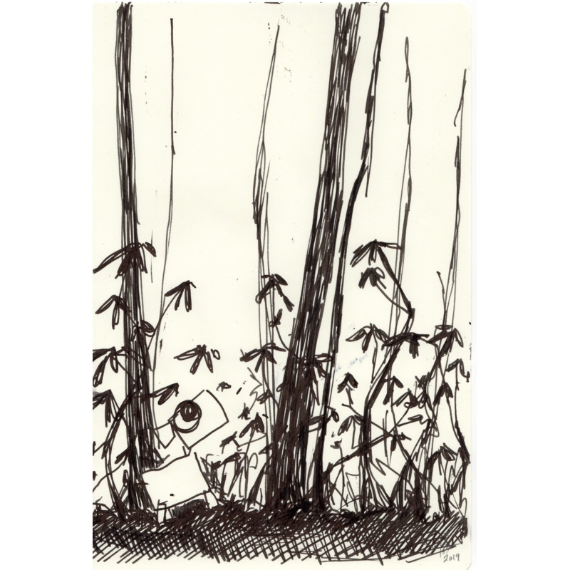 Dog With Mountain Laurel, drawings 1-3