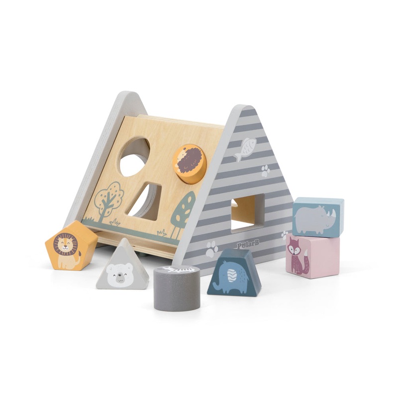 5-in-1 Activity toy