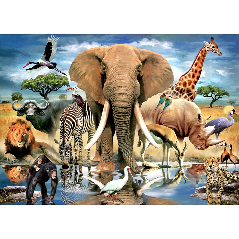 African Oasis Puzzle – 80 pieces