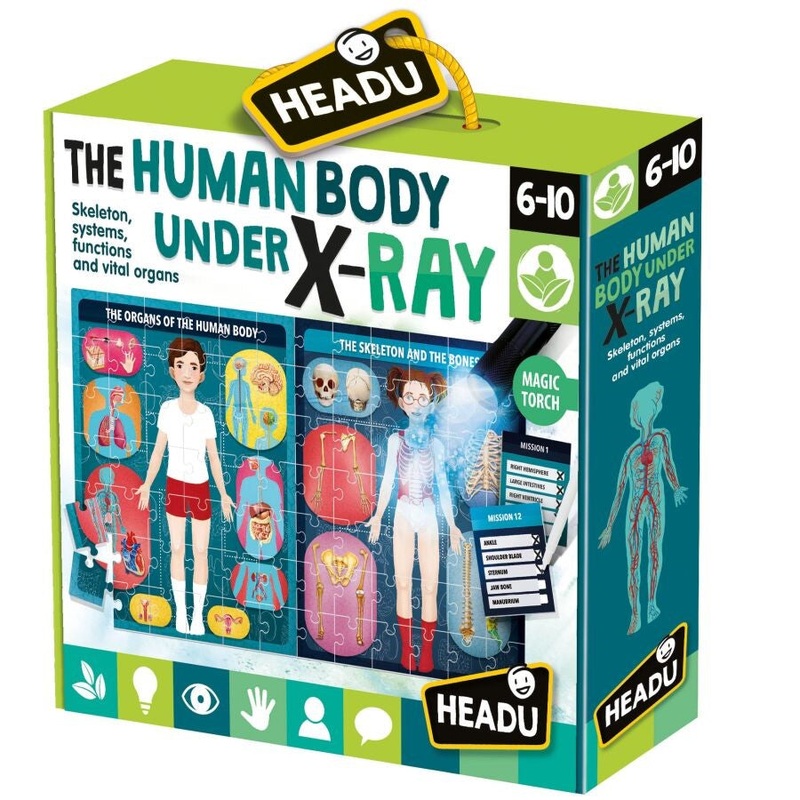 The Human Body under X-Ray