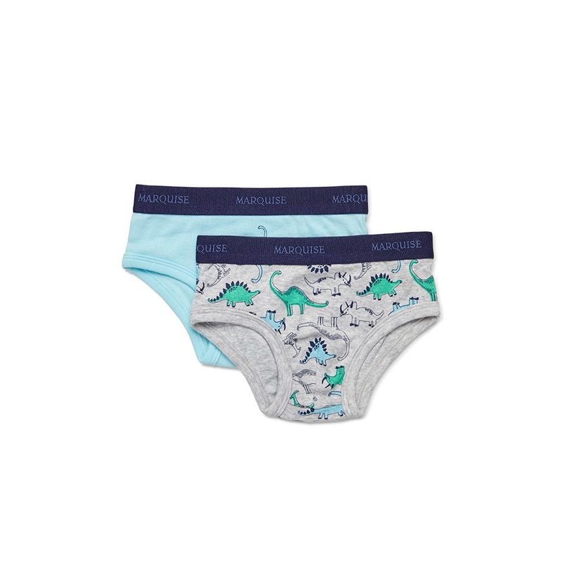 DINOSAURS BOYS 2PK UNDERWEAR