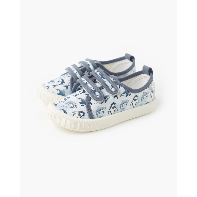 Ben Canvas – Sharks