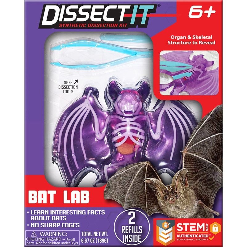 Dissect – It Bat Lab