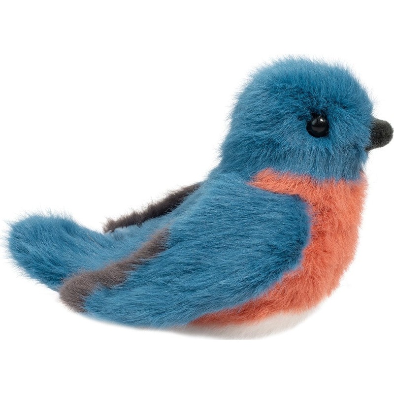 Bertie Bluebird