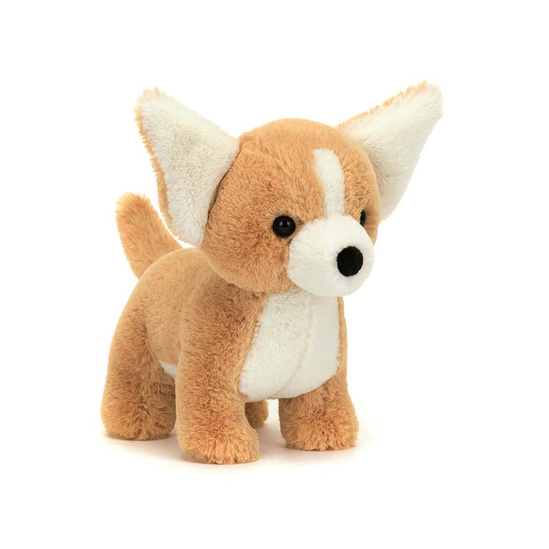 Isobel Chihuahua 7
