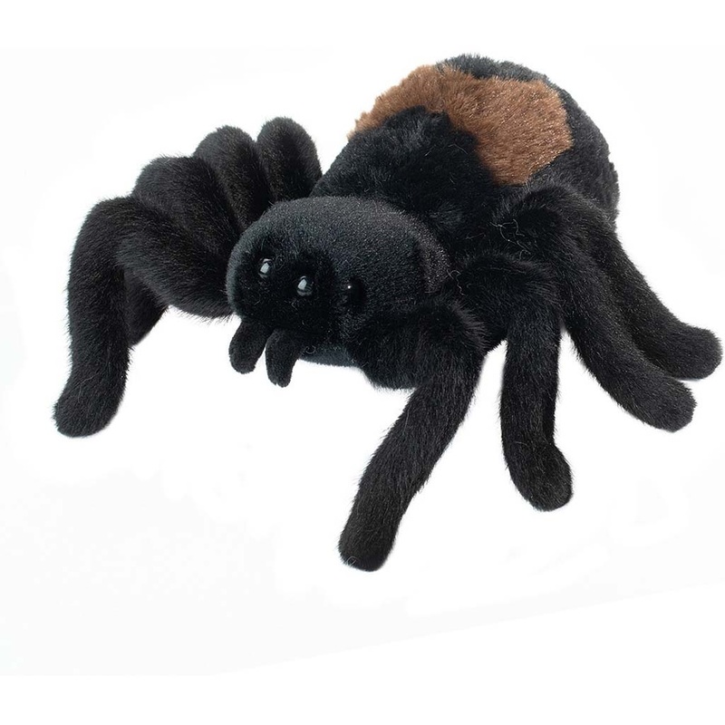 Sneakie Spider – 7